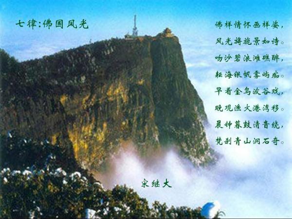 临齐街道 “雁归兴德” 工程激活人才引擎